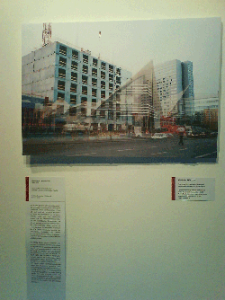 Foto in der Ausstellung: Digitale Collage Abriss Ahornblatt